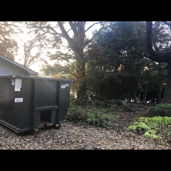 ANYTHING - Picture 10 of 16